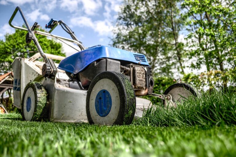 Lawn Mowing Service